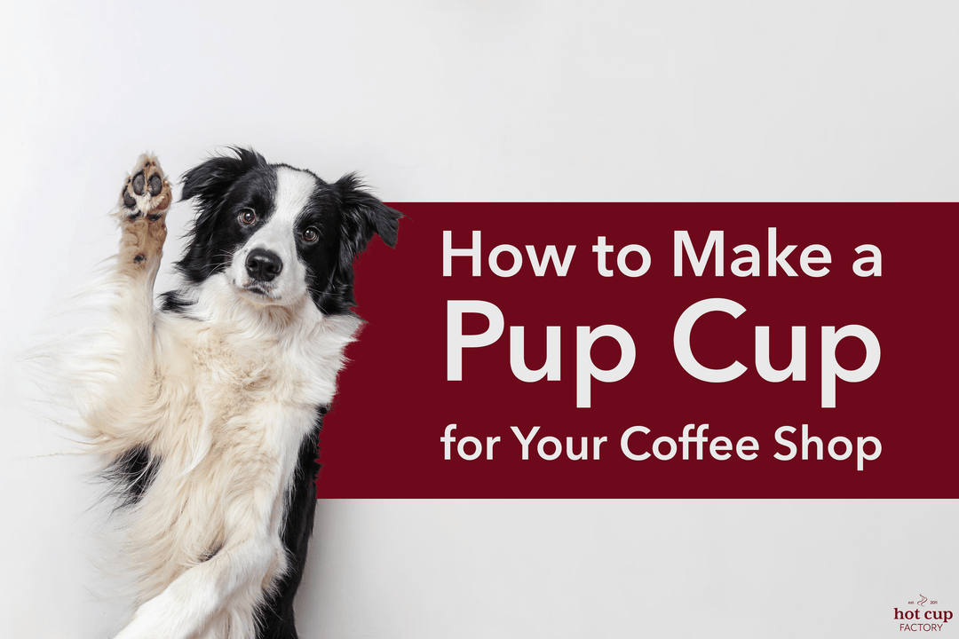 How to Make a Pup Cup for Your Coffee Shop - Hot Cup Factory