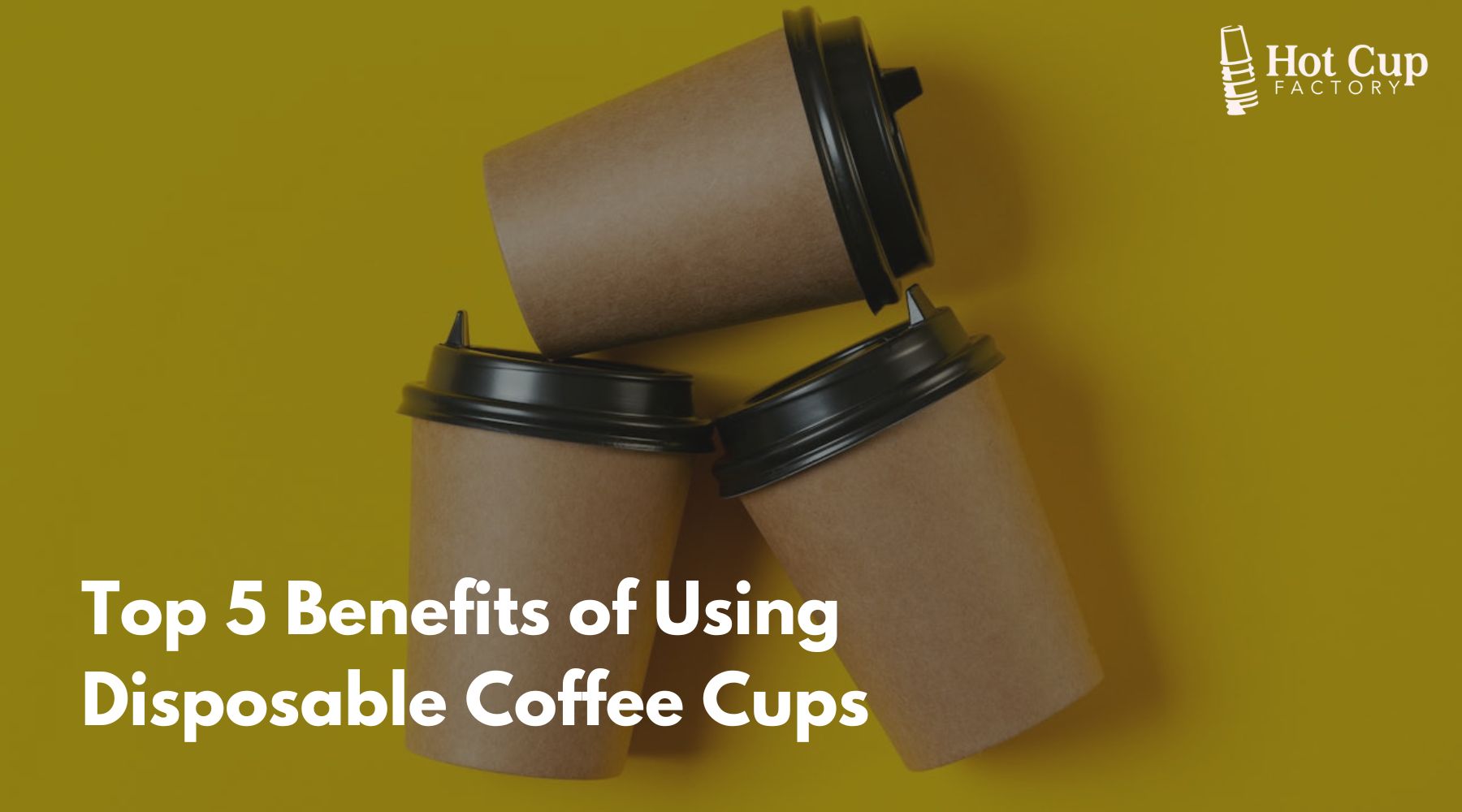 Top 5 Benefits of Using Disposable Coffee Cups – Hot Cup Factory
