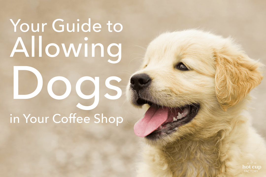 Your Guide for Dog-Friendly Coffee Shop - Hot Cup Factory
