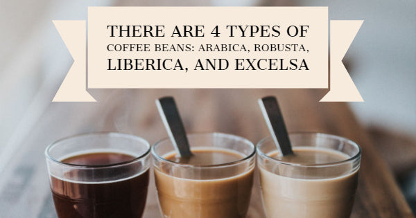 4 Factors Affecting Coffee Flavor - Hot Cup Factory