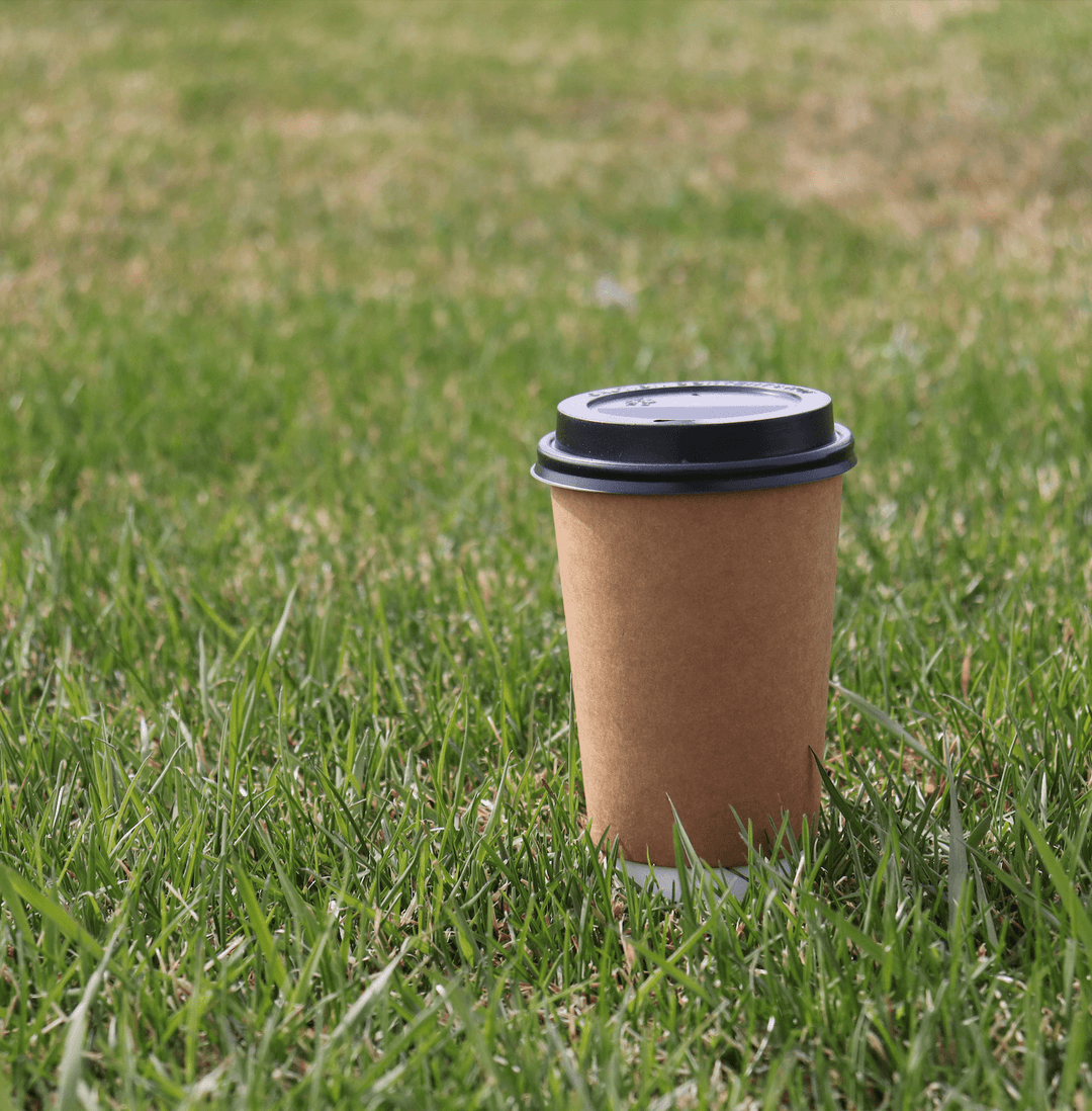 Tips For Making Sustainable and Eco-Friendly Coffee Shops - Hot Cup Factory