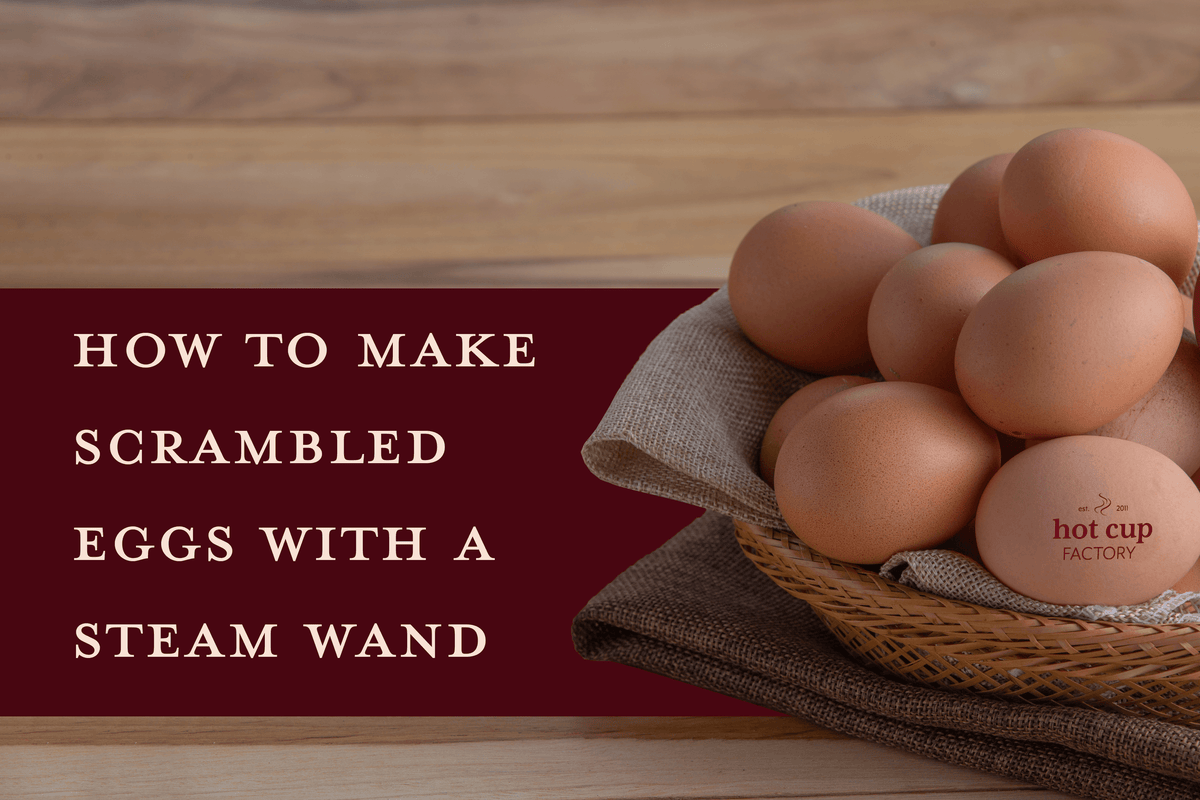 How to Make Scrambled Eggs with a Steam Wand? - Hot Cup Factory